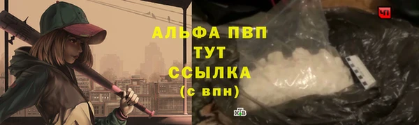 трава Няндома