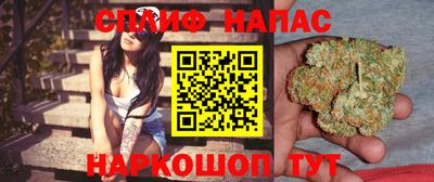 бошки Дубна