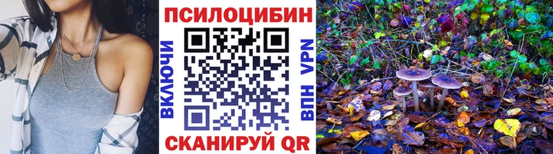 Галлюциногенные грибы Magic Shrooms  продажа наркотиков  площадка Telegram  Моздок 