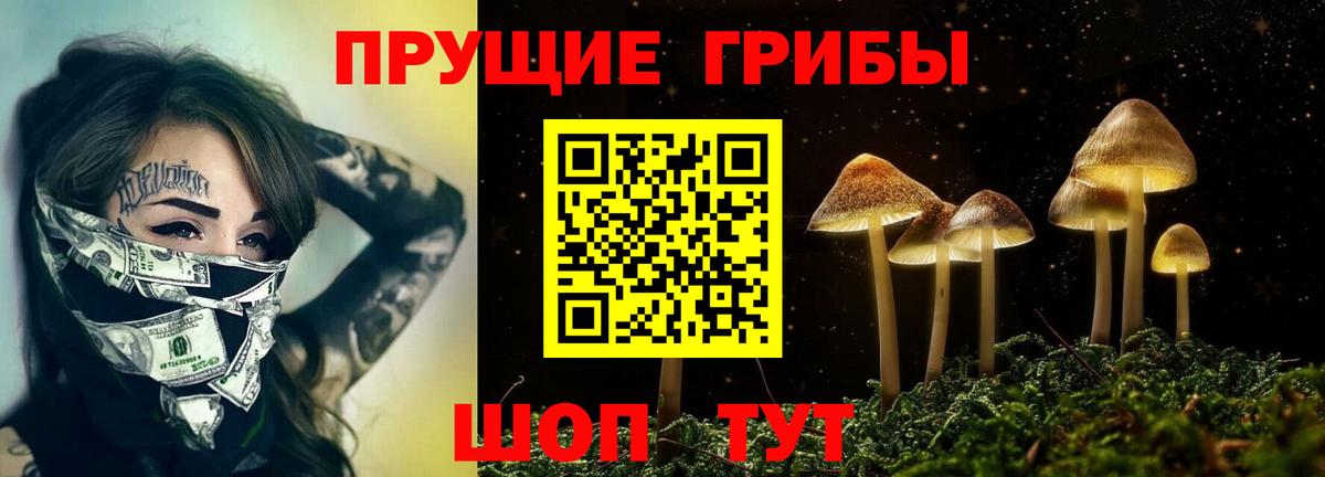 Галлюциногенные грибы прущие грибы Моздок