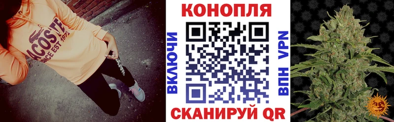 ссылка на мегу как войти  продажа наркотиков  Моздок  Канабис сатива 
